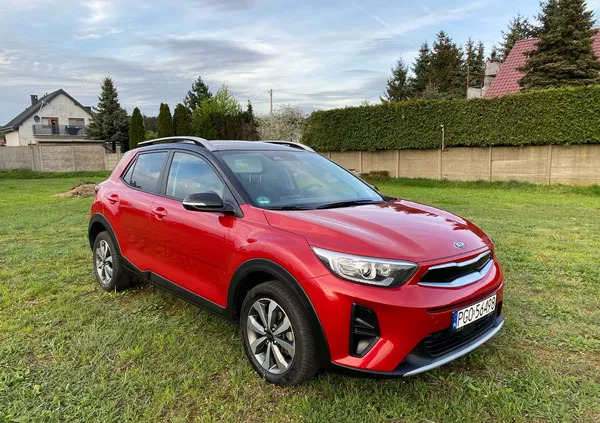 Kia Stonic cena 69900 przebieg: 24500, rok produkcji 2021 z Jastrzębie-Zdrój małe 106